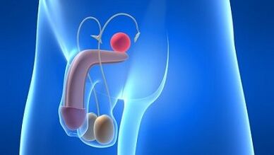 Lubrication sa mga lalaki sa panahon sa kasadya kung unsa kini