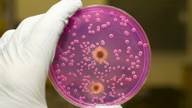 Pathological Dispis sa mga lalaki kung naghinamhinam